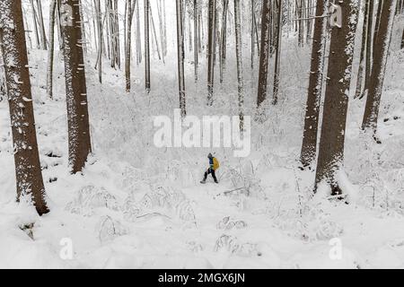 Einheimische Kinder erkunden den Urwald von Kocevski rog nach starkem Schneesturm, frisch schneebedeckten Bäumen und Landschaft, Kocevje, Dolenjska Region. Slowenien Stockfoto