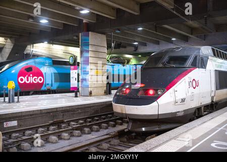 Zwei Züge haben angehalten, einer Ouigo und der andere inOui auf dem Bahnsteig. Auf den Bahnhöfen des Gare Montparnasse, einem der sechs großen Pariser Bahnhöfe. Frankreich, Paris am 25. Januar 2023. Foto: Patricia Huchot-Boissier/ABACAPRESS.COM Stockfoto