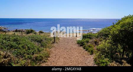 Küstenzugang Fußgängerzone zum Meeresstrand atlantikküste am Vendee Talmont-Saint-Hilaire in Frankreich Stockfoto