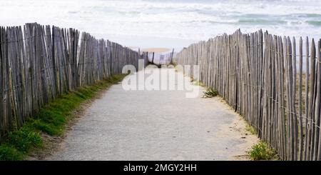 Hölzerner Pfad zum Sanddünen-Strand in Gironde Lacanau in Frankreich Stockfoto