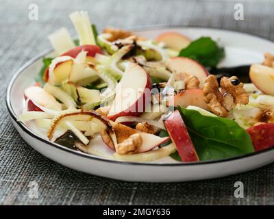 Fenchel Apfel Salat auf Rucola Stockfoto