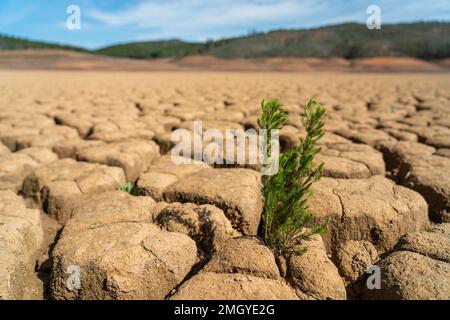 Wüstenwasserkanäle von Seen und Flüssen während der Sommerperiode der Dürre, das Konzept der globalen Erwärmung und der Austrocknung von Süßwasser. Stockfoto