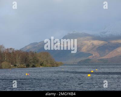 Blick auf Loch Lomond an einem sonnigen Wintertag, Blick über Luss in Richtung der schneebedeckten Spitze von Ben Lomond. Stockfoto