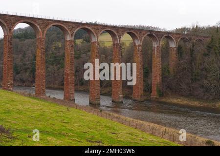 Leaderfoot Viaduct, Eisenbahnviadukt aus dem 19. Jahrhundert über den Fluss Tweed, Melrose, schottische Grenzen, Schottland, Großbritannien Stockfoto