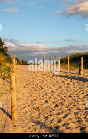 Sanddünen-Strand überquert in warmer Abendbeleuchtung Stockfoto