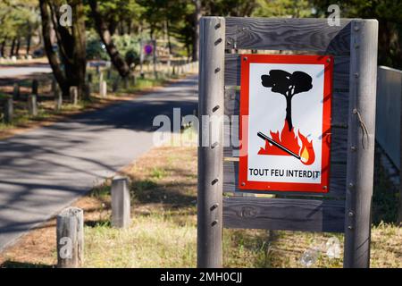 Kein offenes Feuer brennender Symboltext übersetzt in französisch tout feu interdit in hölzernem Outdoor Park Übereinstimmung mit Flammenbaum Stockfoto