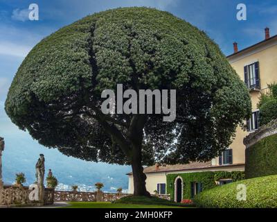 Wunderschöne Aussicht, grüne Rasenflächen, Bäume, Büsche und Skulpturen der Villa Balbianello, Lenno, des Сomo-Sees, Tremezzina, Italien Stockfoto