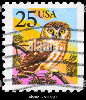 USA - CIRCA 1988: Ein in den USA gedruckter Stempel zeigt die Serie Owl, Booklet Stamps, ca. 1988 Stockfoto