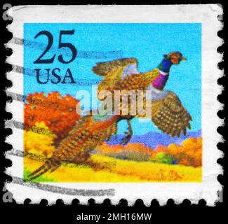 USA - CIRCA 1988: Ein in den USA gedruckter Stempel zeigt die Serie „Pheasant, Booklet Stamps“, ca. 1988 Stockfoto