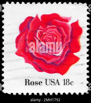 USA - CA. 1981: Ein in den USA gedruckter Stempel zeigt die Serie Rose, Flowers, ca. 1981 Stockfoto