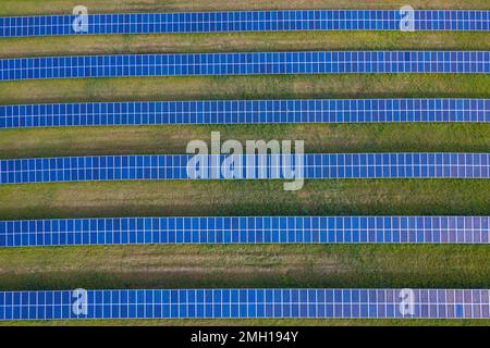 Luftaufnahme der Solarpaneele des Photovoltaik-Kraftwerks/Solarparks für die Stromversorgung, Mecklenburg-Vorpommern, Deutschland Stockfoto
