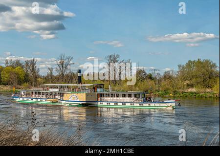 Dampfschiff 'Meissen) auf der Elbe bei Radebeul, Sachsen, Deutschland Stockfoto