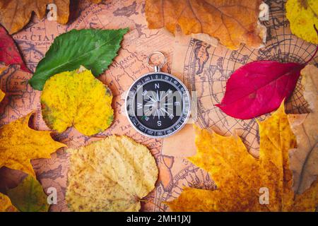 Reisekompass auf der Karte in hellen bunten Herbstblättern. Navigation im Herbst.. Stockfoto