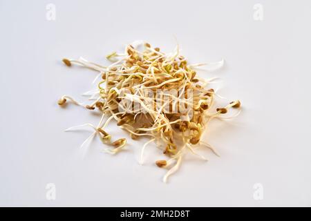 Frische Bockshornkleesamen oder Trigonella-Samen auf hellem Hintergrund Stockfoto