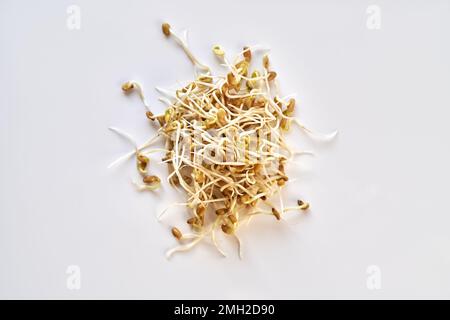 Frische Bockshornkleesamen oder Trigonella-Samen auf weißem Hintergrund Stockfoto