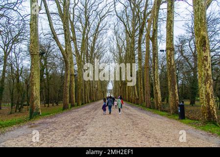 Chenonceau, Frankreich - Dez. 29 2022: Wald und Bach im Garten des Schlosses Chenonceau Stockfoto