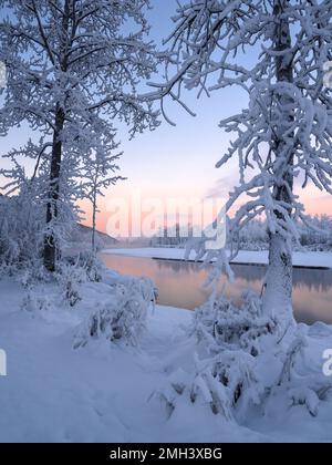 Die rosafarbenen Pastelltöne von Sunrise verleihen der kalten Winterlandschaft am Ufer des Knik River im südlichen Zentralaska Wärme. Stockfoto