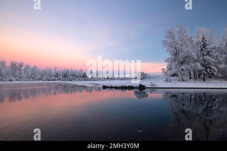 Die rosafarbenen Pastelltöne von Sunrise verleihen der kalten Winterlandschaft am Ufer des Knik River im südlichen Zentralaska Wärme. Stockfoto