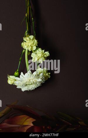 Weiße Blumen auf braunem Hintergrund. Weißes Chrysanthemum und gelbe Nelke. Stockfoto