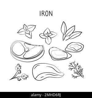 Eisenhaltige Lebensmittel. Gruppen von gesunden Lebensmitteln mit Vitaminen und Mineralstoffen. Set aus Obst, Gemüse, Fleisch, Fisch und Milchprodukten Stock Vektor