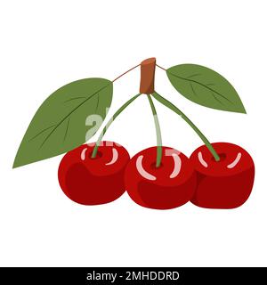 Kirschbeeren auf einem Zweig. vektordarstellung auf weißem Hintergrund Stock Vektor