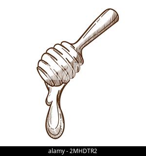 Schmelzen von Honig auf Holzdipper, Bienenzucht und Bio-Lebensmittel Stock Vektor