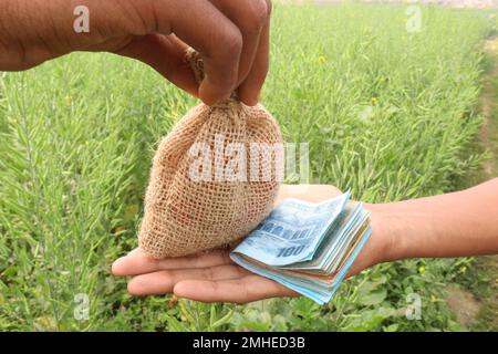 Geldbeutel auf der Senffarm. Das ist Bargeld Stockfoto