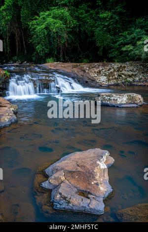 Kaskaden auf dem Obi Obi Creek in der Nähe der Gardners Falls außerhalb von Maleny, Hinterland der Sunshine Coast, Queensland Australien Stockfoto