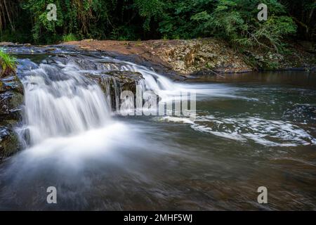 Kaskaden auf dem Obi Obi Creek in der Nähe der Gardners Falls außerhalb von Maleny, Hinterland der Sunshine Coast, Queensland Australien Stockfoto