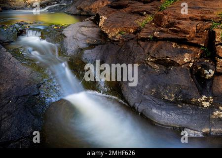 Kleine Kaskade und Wasserfall auf dem Obi Obi Creek in der Nähe der Gardners Falls außerhalb von Maleny, Hinterland der Sunshine Coast, Queensland Australien Stockfoto