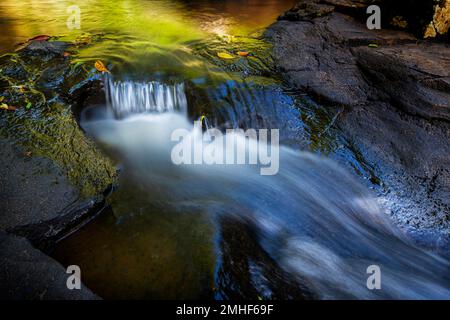 Kleine Kaskade und Wasserfall auf dem Obi Obi Creek in der Nähe der Gardners Falls außerhalb von Maleny, Hinterland der Sunshine Coast, Queensland Australien Stockfoto