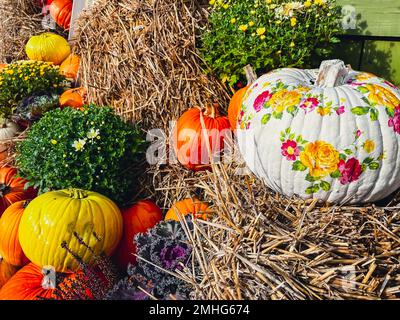 Wunderschön bemalte Kürbisse in Blumen rustikale Heudekoration im Freien. Stilvolles Herbstdekor des Außengebäudes. Ländliche Einrichtung auf Heuhaufen in der Straße. Herbsternte Thanksgiving und Halloween Feiertagsvorbereitungen. Stockfoto