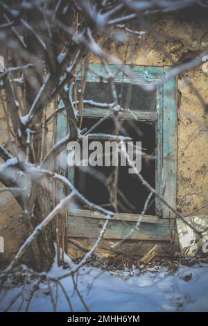 Schließen Sie überwucherte Zweige vor dem verlassenen Haus mit einem kaputten Fensterfoto Stockfoto