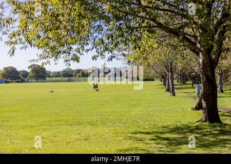 Epping & Loughton Location Shoot Stockfoto