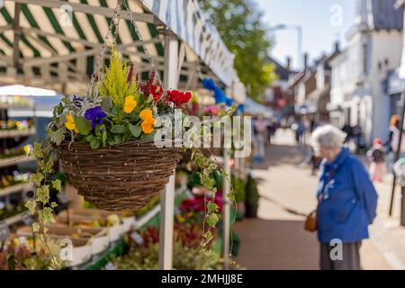 Epping & Loughton Location Shoot Stockfoto