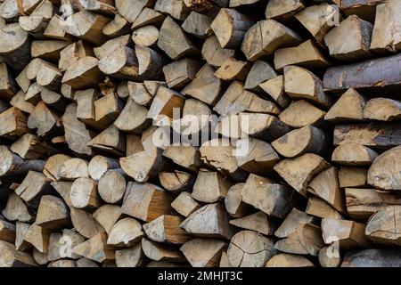 Nach dem Holzeinschlag liegen die Stämme auf dem Boden. Brennholz wird zum Heizen vorbereitet. Stockfoto