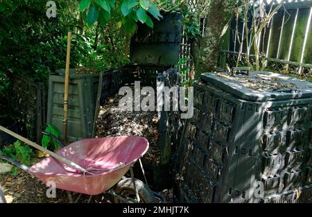 In einer leeren lila Schubkarre befindet sich eine Mistgabel. Sie wartet darauf, mit Kompost aus einigen Kompost-Behältern gefüllt zu werden. Stockfoto