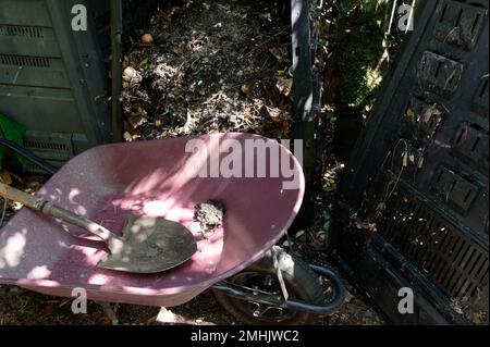 Der Kompost wurde geschaffen und kann nun im Garten verteilt werden. Für die Arbeit werden eine Schaufel und eine Schubkarre verwendet. Stockfoto