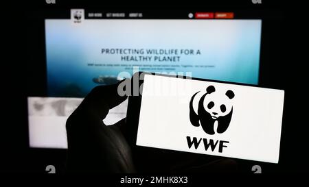 Person, die ein Mobiltelefon mit dem Logo des World Wide Fund for Nature Inc. Besitzt (WWF) auf dem Bildschirm vor der Webseite. Konzentrieren Sie sich auf das Display des Telefons. Stockfoto