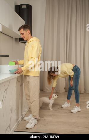 Glückliches, fröhliches Paar in der Küche in gelben Kapuzen, Mann, der das Geschirr wäscht und Frau, die kleinen weißen Hund streichelt Stockfoto