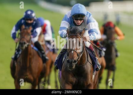 Aktenfoto von 26-08-2020 von Patient Dream, der großzügige Quoten unter Champion Jockey Brian Hughes vor dem 4,20. In Doncaster sieht. Ausgabedatum: Freitag, 27. Januar 2023. Stockfoto