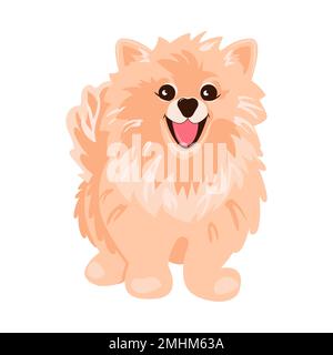 Pommern-Spitz-Creme auf weißem Hintergrund. Süße Poms Welpen. Kleiner deutscher spitz. Kleine Hunde. Stock Vektor