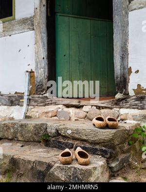 Hasbeens Holzschuhe auf alten Treppen neben einer grünen Bauernhaus-Tür. Harte Holzschuhe oder Schutzschuhe aus Holz. Antike schwedische Mode Stockfoto