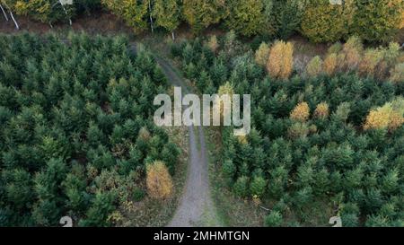 Luftaufnahme der Schotterstraße im Wald Stockfoto