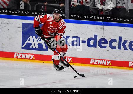 KÖLN, DEUTSCHLAND - 24. JANUAR 2023: Hockeyspiel DEL Koelner Haie - Iselorhn Roosters Stockfoto