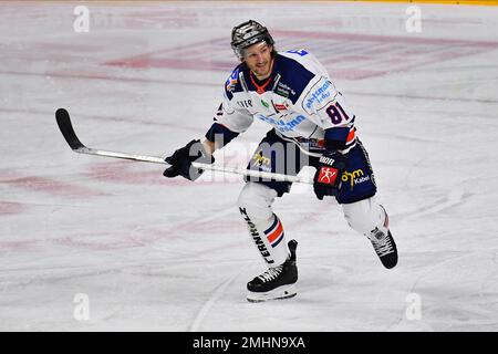 KÖLN, DEUTSCHLAND - 24. JANUAR 2023: Hockeyspiel DEL Koelner Haie - Iselorhn Roosters Stockfoto