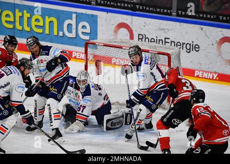 KÖLN, DEUTSCHLAND - 24. JANUAR 2023: Hockeyspiel DEL Koelner Haie - Iselorhn Roosters Stockfoto