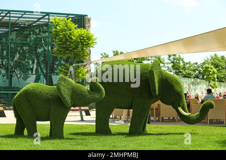 Wunderschöne Elefanten-förmige Topien im Zoo an sonnigen Tagen. Landschaftsgärten Stockfoto