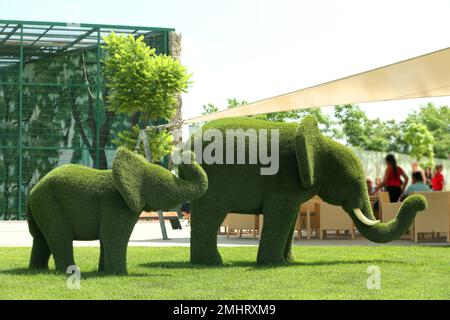 Wunderschöne Elefanten-förmige Topien im Zoo an sonnigen Tagen. Landschaftsgärten Stockfoto