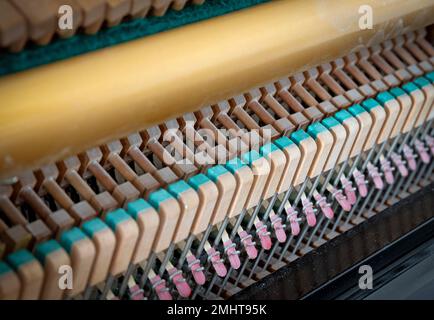 Details zum Klaviermechanik-Hammer - Schnur, Stifte und Hämmer, Klavier von 1973 Stockfoto